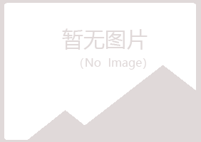 鹤岗兴山梦柏工程有限公司